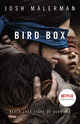 Sandra Bullock stars in the dystopian thriller Bird Box, now playing on Netflix.