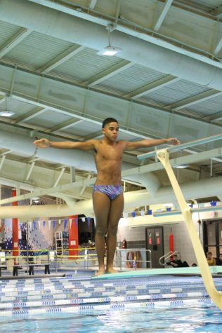 Sophomore Ari Snow, who placed first in Virginia at states, prepares a dive.