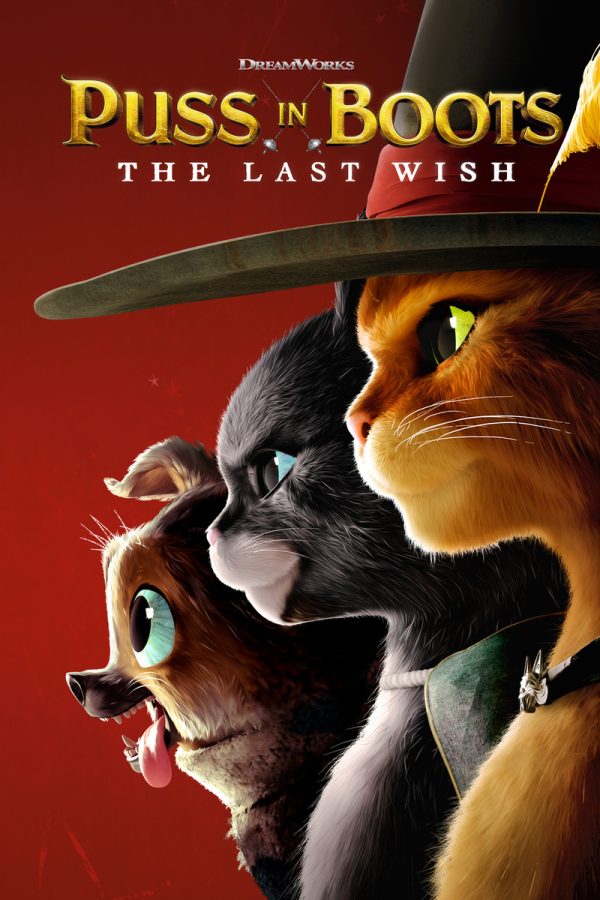 DreamWorks+Animations+Puss+in+Boots%3A+The+Last+Wish+premiered+this+holiday+season%2C+eleven+years+after+the+Shrek+spin-off+Puss+in+Boots%2C+to+critical+acclaim.